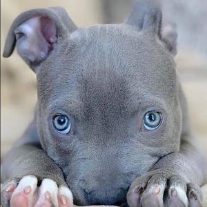 Meet your Posher, Briana